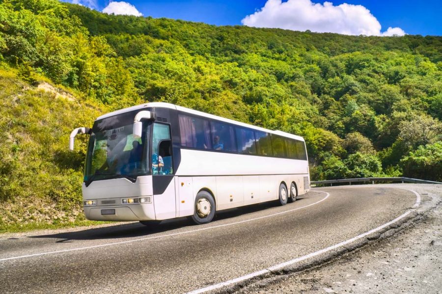 Экскурсионное бюро в санатории - фотография