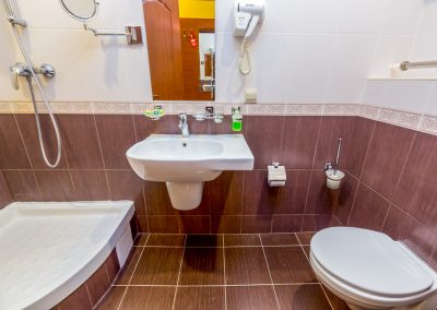 Ванная комната в номере 1 местный 1 комнатный 1 категории новый малогабаритный в санатории Целебный ключ город Ессентуки - фотография